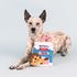Fringe Studio Plush Dog Toy Set, Interactive Hide and Seek Play, Eat More Hole Foods, Pet Shop Collection (289235)...