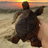 6-Inches Imitative Wood Carving Sea Turtle Statue Resin Hawaiian Turtles Sculpture Garden Tortoise Figurine for Home Decoration Outdoor Patio Lawn...