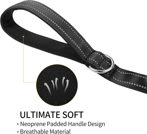 Double-Sided Reflective Nylon Dog Leash, 4 FT/5 FT/6 FT, Soft Padded Handle Heavy Duty Dogs Leashes with D Ring for Medium and Large Dogs Walking ...