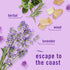 Febreze Odor-Fighting Fade Defy PLUG Air Freshener,Downy April Fresh, Mediterranean Lavender, 87 fl. oz. Oil Refills, 4 Refills (2 of Each)...