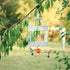 4pcs Ant Moat for Hummingbird Feeders, Large Metal Moat Ant Moat Guard for Hummingbird Feeders Accessory ant moat hook with 4pcs Cleaning Brushes ...