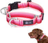Martingale Dog Collar Pink Light-Reflective Polyester Collars for Dogs Whippets, Greyhounds, Saluki, American Bully, No-Pull No-Escape Safety Trai...