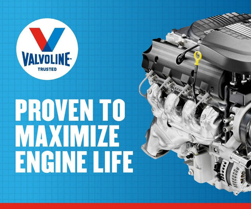 Valvoline European Vehicle Full Synthetic SAE 5W-30 Motor Oil 1 QT...