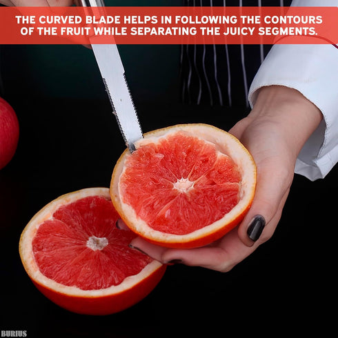 Grapefruit Knife Curved Serrated Blade Knife - Fruit Slicer Cutter small Serrated Knife Kitchen Curved Grapefruit Knife Orange Slicer Cutter - Fru...