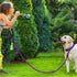 Dynmeow Reflective Dog Collar and Leash Set, 6FT Strong Climbing Rope Leash with Padded Handle, Adjustable Pet Collar with Soft Neoprene Padding f...