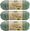Caron Bulk Buy Simply Soft Heather Yarn (3-Pack) Woodland H9700H-9503...