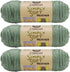 Caron Bulk Buy Simply Soft Heather Yarn (3-Pack) Woodland H9700H-9503...