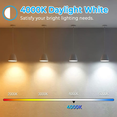 Brightever Vintage LED Edison Bulbs 60 Watt Equivalent, 6W ST58 Super Bright 4000K Neutral Daylight White, Clear Glass Style 700Lumens Antique LED...