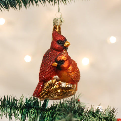 Old World Christmas Pair Bird Watcher Collection Glass Blown Ornaments for Christmas Tree,Northern Cardinal...
