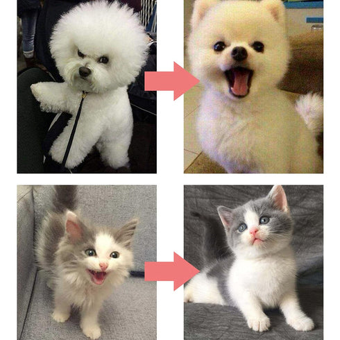 Self Cleaning Slicker Brush for Dogs Cats,Pet Deshedding Brush Grooming Comb Easily Removes Mats and Loose Fur from The Pet Coat...