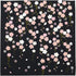 HAMAMONYO Furoshiki(20 in.) 'Weeping Cherry at Night'...
