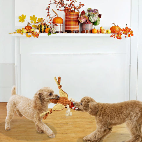 Halloween Squeaky Dog Toys Plush Stuffed Turkey Toys for Puppy Tough Small Dog Pumpkin Toys...