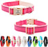 Lionheart glory Dog Collar Reflective Dog Collars Female Male Pet Collar Pink Collar Dog Adjustable Durable Soft Classic Collar for Small Dogs Pet...