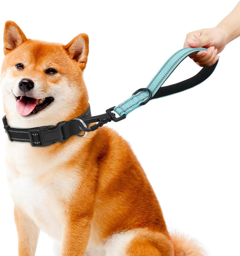 Short Dog Leash-12 Inch Traffic dog leash,Training Leash with Retroreflective Stripes and Carabiner Clip,Suitable for controlling and training med...