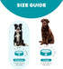 Outward Hound Fun Feeder Slo Bowl, Slow Feeder Dog Bowl, Medium/Mini, Turquoise...