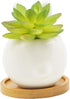 Succulent Pots,3.14 Inch Tall Cute Bunny Shaped Cartoon Ceramic Succulent Cactus Flower Pot with Bamboo Tray -Plant Not Included...