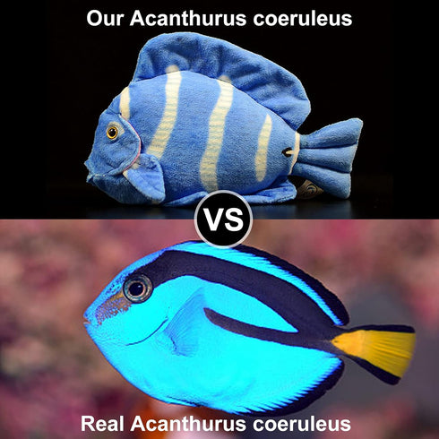 ZHONGXIN MADE Super Cute Tropical Fish Atlantic Plush Toy - 7 inch Simulation Deep Sea Acanthurus Coeruleus Blue Hanging Spiny Fish Stuffed Animal...