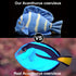 ZHONGXIN MADE Super Cute Tropical Fish Atlantic Plush Toy - 7 inch Simulation Deep Sea Acanthurus Coeruleus Blue Hanging Spiny Fish Stuffed Animal...