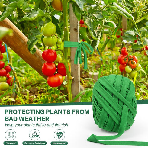 Tenn Well Cloth Plant Ties, 2 Roll 196 Feet Green Tomato Ties Stretchy Garden Twine for Climing Plants, Fruit Trees, Flowers, Gardeners (98 Feet/R...