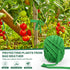Tenn Well Cloth Plant Ties, 2 Roll 196 Feet Green Tomato Ties Stretchy Garden Twine for Climing Plants, Fruit Trees, Flowers, Gardeners (98 Feet/R...