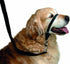 BARKLESS Dog Head Collar, Adjustable and Padded, No-Pull Training Tool for Dogs on Walks, includes 1 Dog Leash and A Training Guide...
