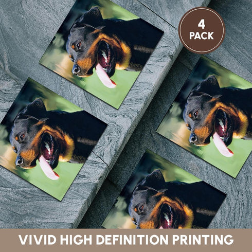 3dRose cst_4378_3 Rottweiler-Ceramic Tile Coasters, Set of 4...