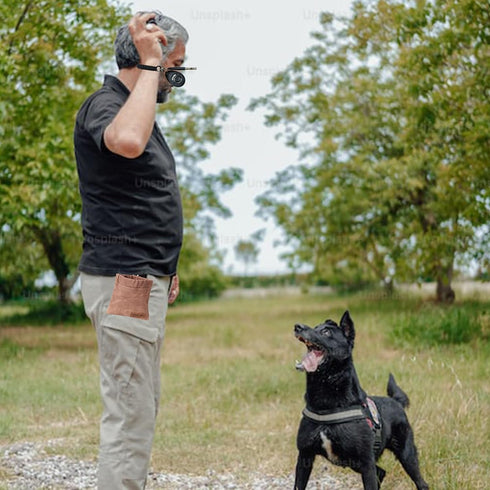 Dog Training Kit,Puppy Dog Treat Pouch Bag with Dog Clicker and Silent Whistle with Lanyard,Hands-Free Training Dog Treat Pouch,includes Carabiner...