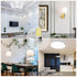 BAOMING G4 LED Bulb 12V JC Tybe, 20W/35W T3 G4 Halogen Equivalent, 6000K Daylight White, G4 Bi-Pin Base, No-Flicker 400LM, Chandelier Lighting/Lan...