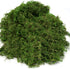 Usmola Fake Moss, Artificial Green Moss for Potted Plants Fairy Garden Accessories, 4OZ (Fresh Green)...