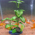 Aquarium Silk Plants for Betta Fish Tank, Aquarium Plant Aquatic Water Grass Foreground Decor?Fish Tank Decorations(4PCS Green Grasses)...