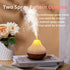Mini Colorful Cool Humidifier, Volcano Shape Humidifier,USB Personal Desktop Humidifier Volcano Spray Mode, 7 Colors,Super Quiet for Office Room, ...
