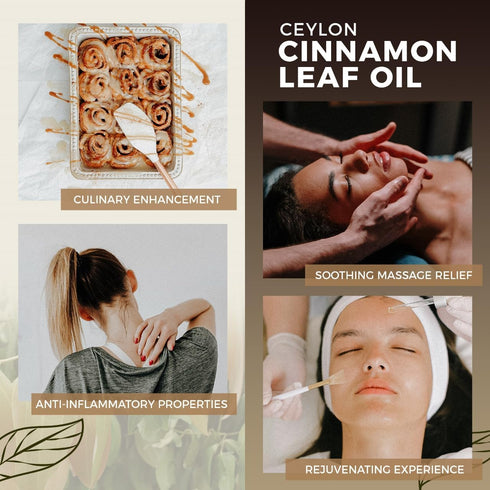 PRESERVE Ceylon Cinnamon Leaf Essential Oil, 100% Pure Natural Oil, Undiluted, Therapeutic Grade base Oil for Aromatherapy, Diffuser, Fragrance, F...