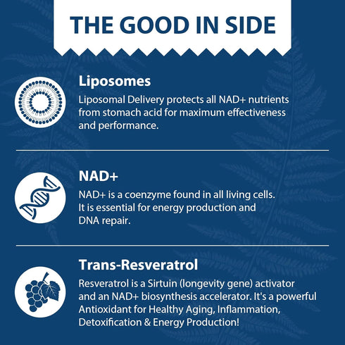 Liposomal NAD+ 500 mg + Trans-Resveratrol 300 mg, Superior Absorption True NAD Supplement Efficient for Cellular Energy Metabolism & DNA Repair, 6...
