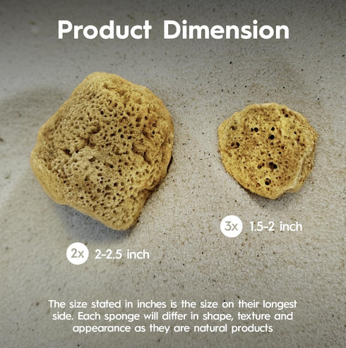 Natural Hermit Crab Sponges | Unbleached Sea Sponge for Water Drinking Safety | Aquarium Decor Balance Tank Humidity | Crab Supplies Accessories 5...