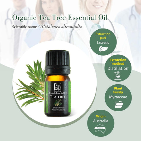 Organic Tea Tree Essential Oil - USDA Organic, 100% Pure, Therapeutic Grade for Aromatherapy, Skin Care, Travel, Diffuser - 5ml Small Oil by B BON...