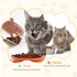 4 Pcs Whisker Fatigue Relief Cat Bowl Shallow Cat Food Dish 6 Inch Cat Wet Feeding Bowls Wide and Short Legged Cat and Small Pet Plate for Kittens...