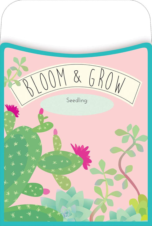 Barker Creek Peel & Stick Library Pockets, Petals & Prickles, 3 Designs, Great for Holding Library, Index, and Flash Cards, Hall Passes, Recipes, ...