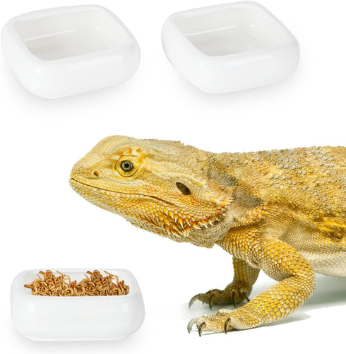 Reptile Food Bowls -Ceramic Square Reptile Water Food Dish, Pet Food Bowl for Lizards, Young Bearded Dragons, Small Snakes, Gecko Tortoise Spider ...