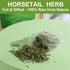 FullChea - Horsetail Tea, 1.5g X 30 Count - Premium Dried Horsetail Herb For Hair & Nail - Non-GMO - Caffeine-free - Natural Cola De Caballo Hierb...