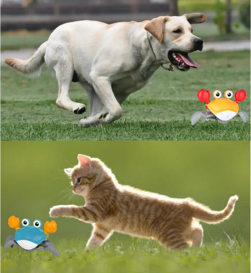 Crawling Crab Dog Cat Toys, Escaping Crab Dogs Cats Toy with Obstacle Avoidance Sensor Interactive Pet Toys with Music Sounds & Lights for Dogs Ca...