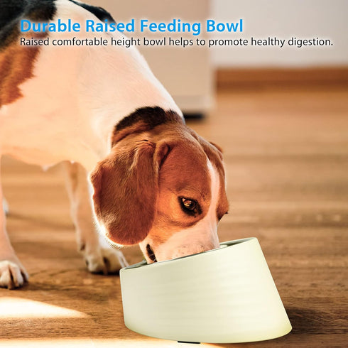 Tilted Angle Dog Bowl, 15° Slanted Stainless Steel Dog Cat Food Bowl, Non-Slip & Non-Spill Pet Feeder with Elevated Detachable Melamine Stand, Eas...