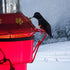 Hummingbird Feeder Heater for Outdoors, Bird Feeder Heater Backyard Hearth Hummingbird Feeder Heater Attaches to The Bottom of an Existing Feeder...