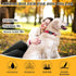 Portable Electronic Device Cover, IP68 Waterproof Air Tag Pet Collar Holder for Tracking Pets, Fits All Width Collars, Newest Airtag Case Easy to ...