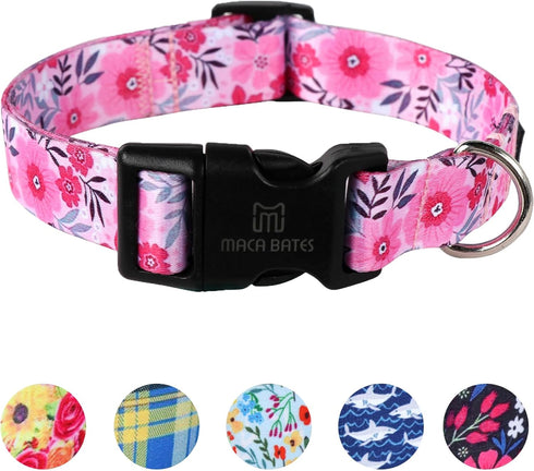Maca Bates Designer Flower Pink Cute Dog Collar Spring Collars for Girl Female Para Perros Chihuahua Pitbull Birthday Gift for Small Medium Large ...