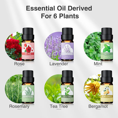 Essential Oils for Diffuser - Extra Pure 100% Diffuser Essential Oils Set with Aromatherapy Oils for Diffusers DIYs and More - Best Holiday Gifts ...