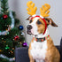 Christmas Dog Collars for Medium Dog - Red Plaid Snowflake-Themed Christmas Cute Dog Collars for Girls Dog, Adjustable Dogs Collar for Pet Decorat...