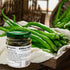 BAILINHOU Sichuan Flame Roasted Diced green chiles sauce asian 8.28oz/235g, chuanwazi green chilis canned imported of china...