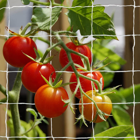 Tcamp Heavy-Duty Polyester Garden Trellis Netting Plant Climbing Net for Growing Vines Plants Vegetables Fruits Flowers, White Grow Tent (4.9Ft x1...
