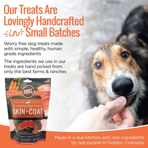 All Natural Dog Treats - Healthy Skin & Coat Salmon Dog Treats - Ideal for Sensitive Stomachs or Itchy, Allergic, Dry Skin - Dehydrated, Crunchy, ...