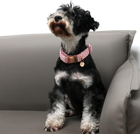 Daisy Summer Cotton Dog Collar with Metal Buckle Gift Pink Collar for Small Medium Large Girls or Boys Dogs Cute Durable Comfortable Pet Collars...